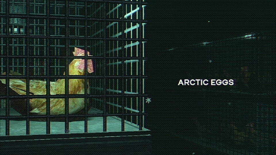 Arctic Eggs header image opinion piece