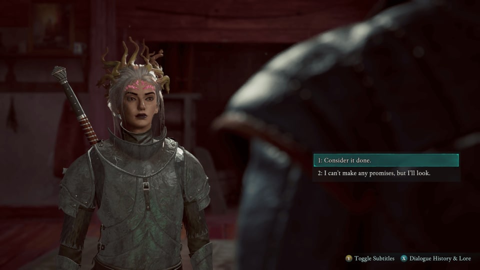 avowed unique heavy armor in third person dialogue