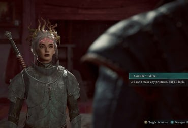 avowed unique heavy armor in third person dialogue