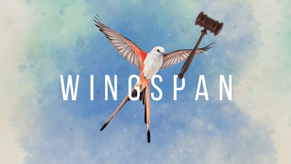 Wingspan bird holding a gavel behind the name Wingspan in the sky